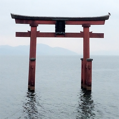 「近江の厳島」とも称される白髭神社の鳥居