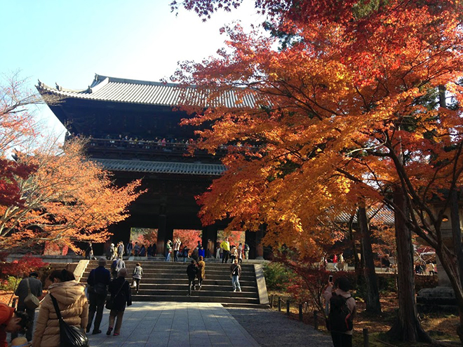 京都の紅葉は特別の色、京のいろ